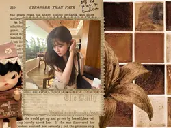 1pic brown 