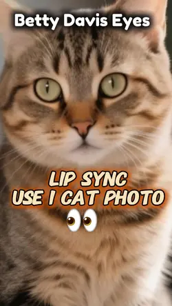 Cat Eyes