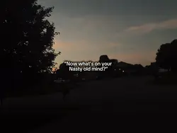 🕊️„