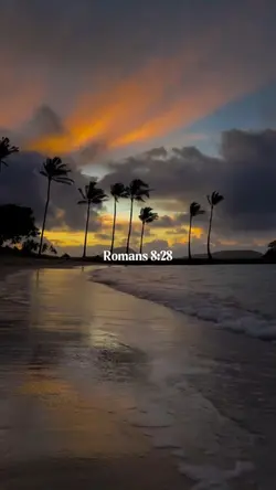 wednesdayverse