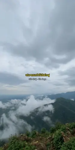 จริงๆใจฟู