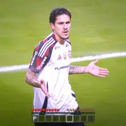 Pedro edit