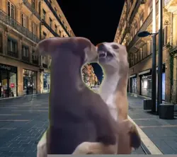 bachata