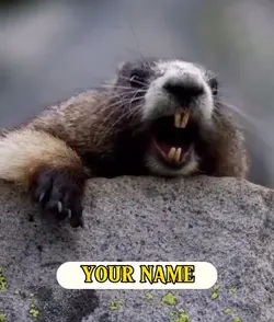 TEMPLATE TUPAI 