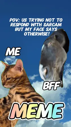 Sarcasm meme besties