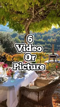 6 video new template