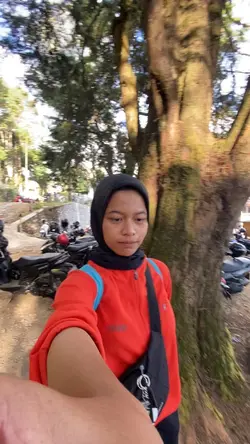 Transisi Gunung