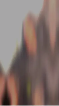 Magal vidéo 49