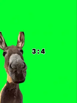 donkey laught memes