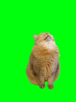 Zzzz
