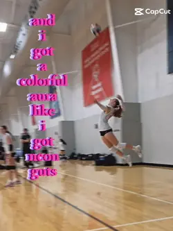 Volleyball