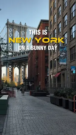 this is new york 