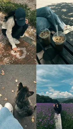 teh hijau kolase