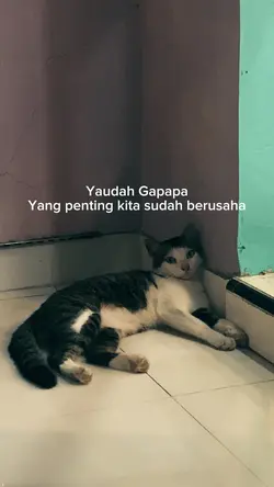 Kata kata motivasi