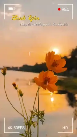 Video nhẹ nhàng