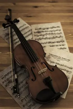 violin