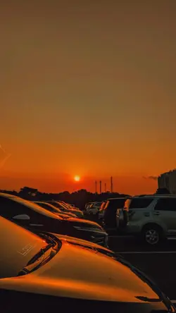 Filter senja