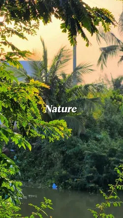 Nature chill story