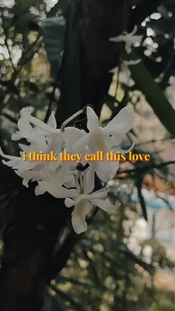 viral tiktok