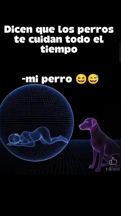 duerme todoel tiempo