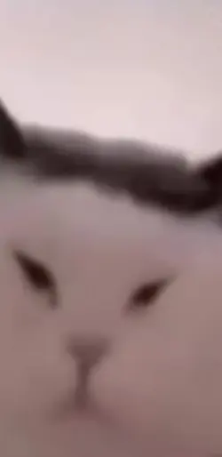 power of rendering