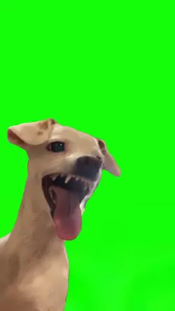 Laughing Dog Meme