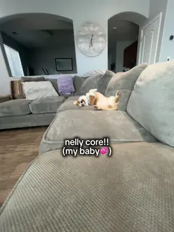 nelly core!!
