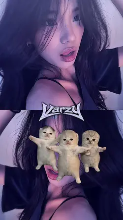 JJ KUCING DANCE