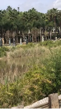 Park Buddha 