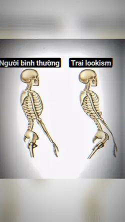 Trai Lookism