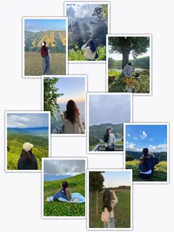20PicFrame Aesthetic