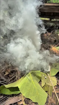 Kicau Mania Slowmo