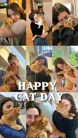 Happy Cat Day