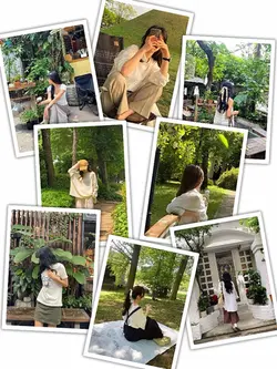 Photo Collage Trend