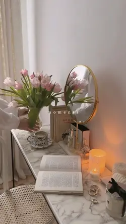 Moment Vlog
