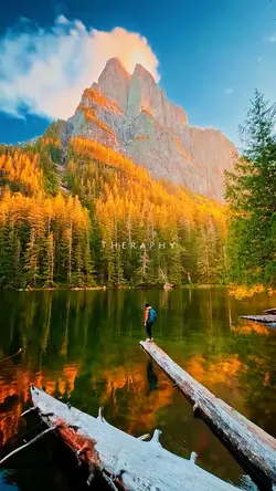 Nature Therapy❤️
