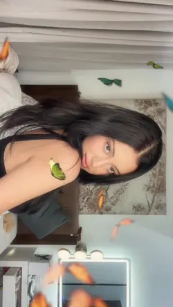 TikTok interface 