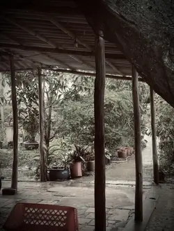 1 ảnh 