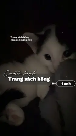 Trang sách hồng