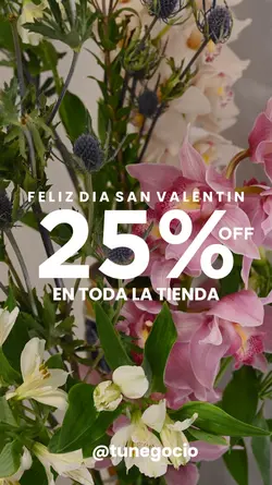 San Valentín 25% OFF