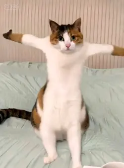ai机车摇