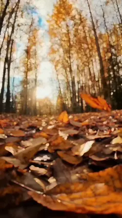 Winter Filter slowmo