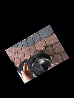 Hehe