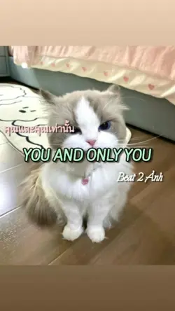 YOU AND ONLY YOU
