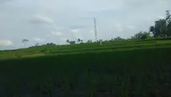 Alam