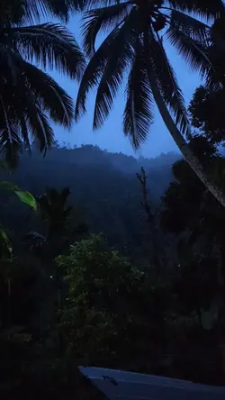 tenang 