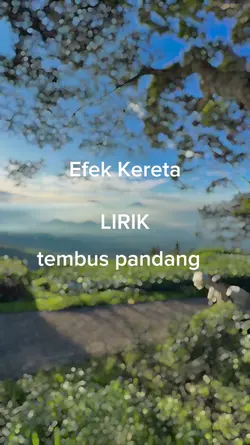 EFEK KERETA