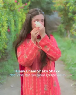 shaky shaky 