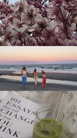 grid video