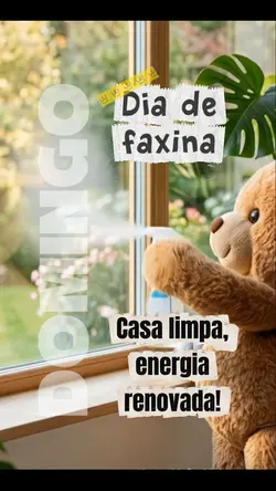 dia de faxina